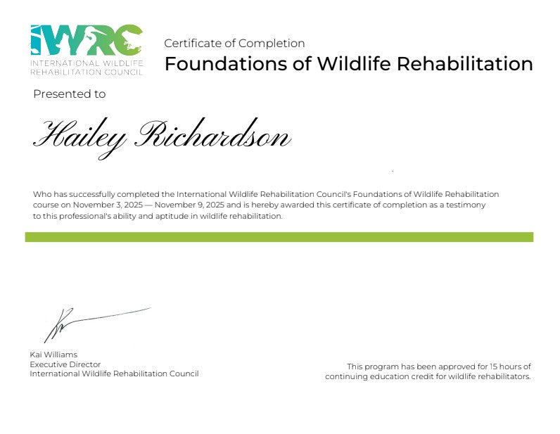 Becoming Certified in Wildlife Rehabilitation — A Personal Milestone